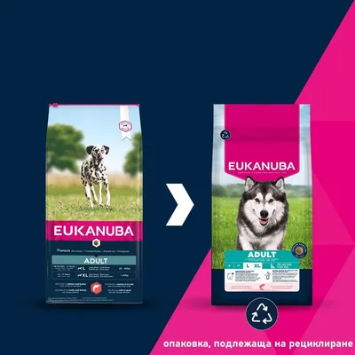 Eukanuba Premium Nutrition Adult Large & Giant Breed със сьомга - 2 x 12 кг