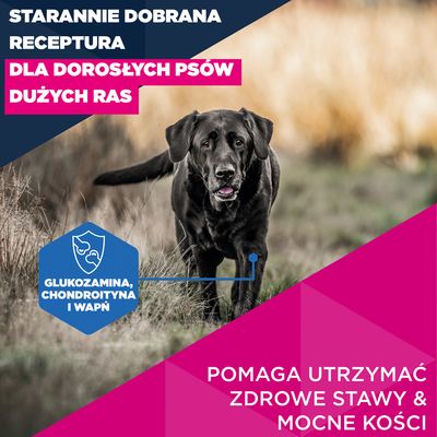 Eukanuba Premium Nutrition Mature Large & Giant Breed, kurczak