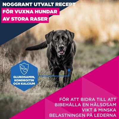 Eukanuba Premium Nutrition Mature Large & Giant Breed Chicken