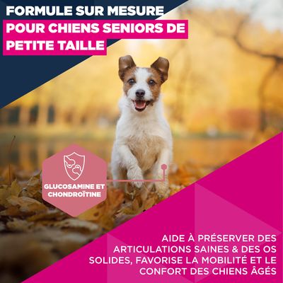 Eukanuba Premium Nutrition Senior Small Breed au poulet - 7,5 kg