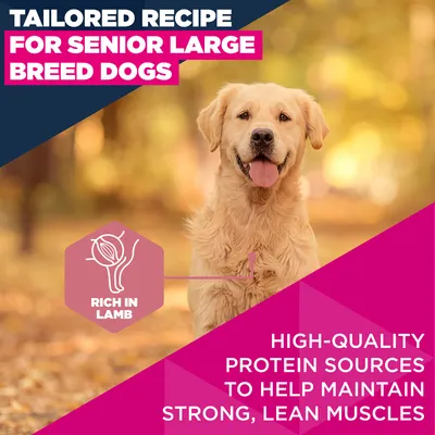 Eukanuba Premium Nutrition Senior Large & Giant Breed Lam & Ris