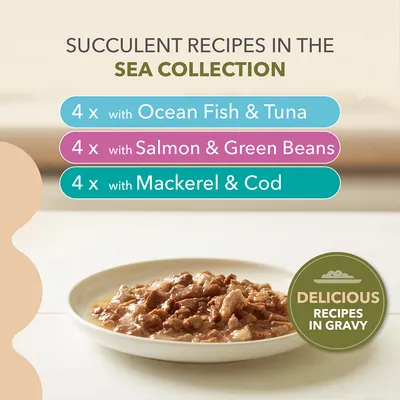 IAMS Advanced Nutrition Grain Free Sea Collection i saus