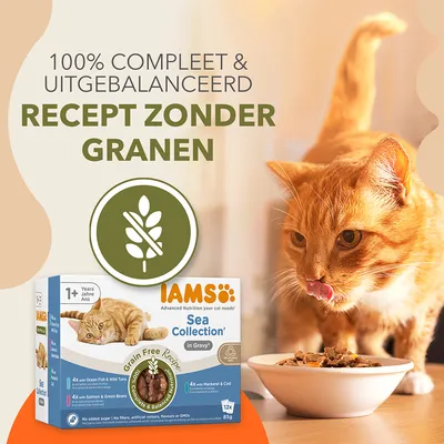 IAMS Advanced Nutrition Graanvrije Sea Collection in Saus - Voordeelpakket: 48 x 85 g