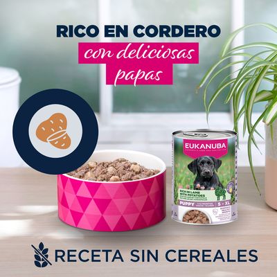 Eukanuba Puppy rico en cordero con patatas
