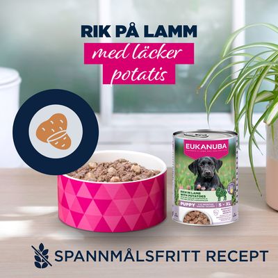 Eukanuba Puppy Rich in lamm med potatis