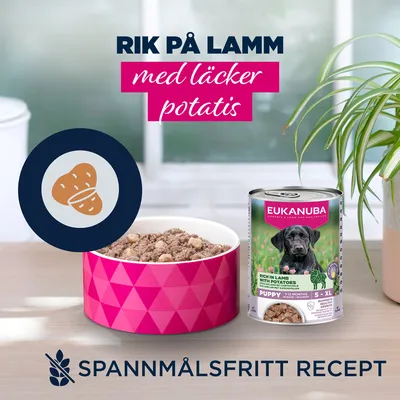 Eukanuba Puppy Rich in lamm med potatis - Sparpack: 24 x 400 g