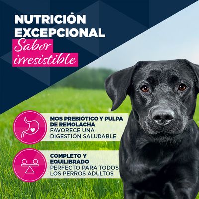 Eukanuba Adult rico en cordero con patatas