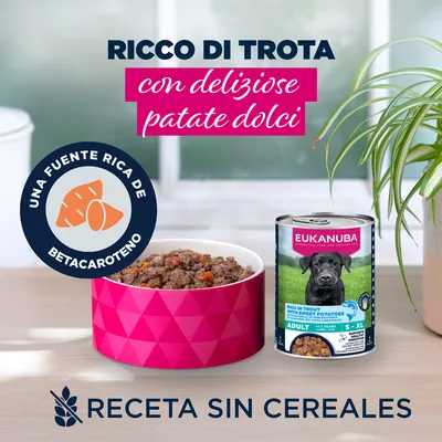 Eukanuba Adult rico en trucha con batata Eukanuba Adult rico en trucha con batata