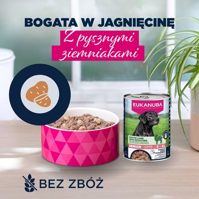 Eukanuba Senior, jagnięcina z ziemniakami