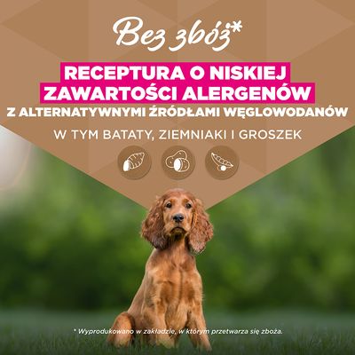 Eukanuba Grain Free Puppy Small & Medium Breed, ryba morska - 2 x 3 kg