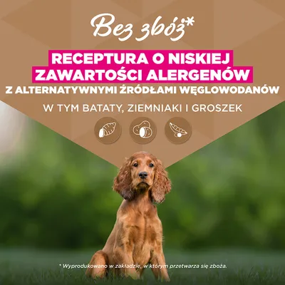 Eukanuba Grain Free Puppy Small & Medium Breed, ryba morska - 12 kg