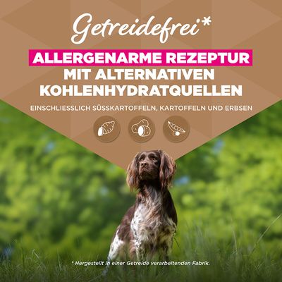 Eukanuba Grain Free Adult Small & Medium mit Seefisch