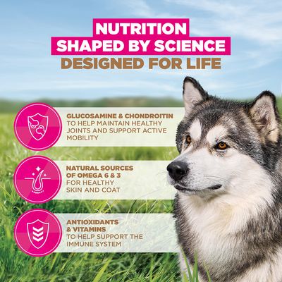 Eukanuba Grain Free Senior Large & Giant with Ocean Fish - dog dry food - Economy Pack: 2 x 12kg