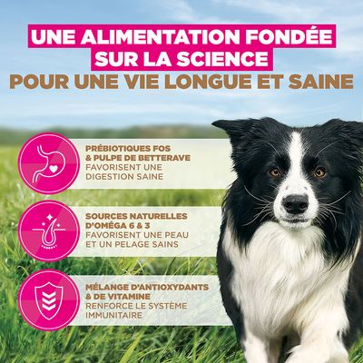 Eukanuba Grain Free Adult Small & Medium Poulet - 12 kg
