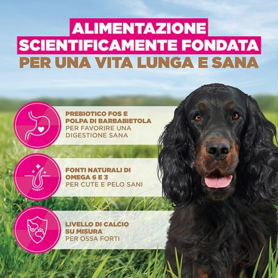 Eukanuba Grain Free Adult Selvaggina - Set %: 2 x 12 kg