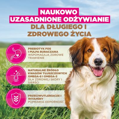 Eukanuba Grain Free Adult Small & Medium, z jagnięciną - 12 kg