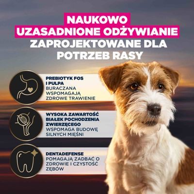 Grafika z trzema zaletami produktu: prebiotyki i wysłodki buraczane dla trawienia, wysoka zawartość białka zwierzęcego dla mięśni, Dentadefense dla zdrowia zębów.