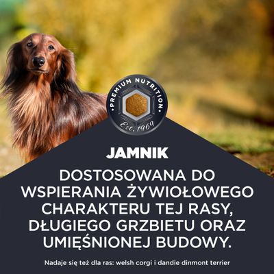 Premiumowa karma. Dopasowana do wspomagania żywiołowego charakteru, długiego grzbietu oraz muskularnej budowy ciała. Odpowiednia także dla Welsh Corgi i teriera Dandie Dinmont.