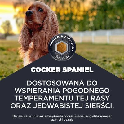 COCKER SPANIEL. Premiumowa karma od 1969 roku. Dopasowana do wspomagania przyjaznego temperamentu i jedwabistej sierści tej rasy. Odpowiednia także dla beagle oraz springer spaniela.
