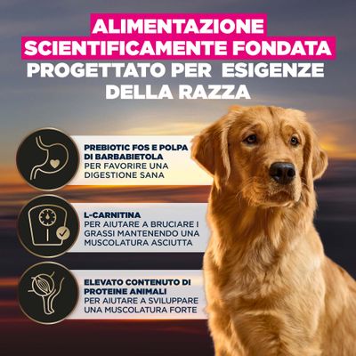 Alimentazione scientificamente studiata, sviluppata per le esigenze specifiche della razza. Contiene prebiotici e polpa di barbabietola, L-carnitina e un alto contenuto di proteine animali secondo il testo dell'immagine.