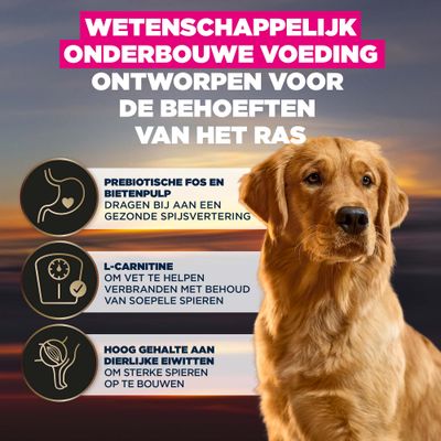 Vergelijking van de oude en nieuwe Eukanuba Golden Retriever adult verpakking, met een verwijzing naar de verbeterde, recyclebare verpakking bij gelijkblijvende kwaliteit.