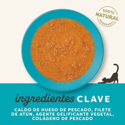 Applaws Caldo de hueso de pescado 48 x 85 g - Pack Ahorro - Con salmón