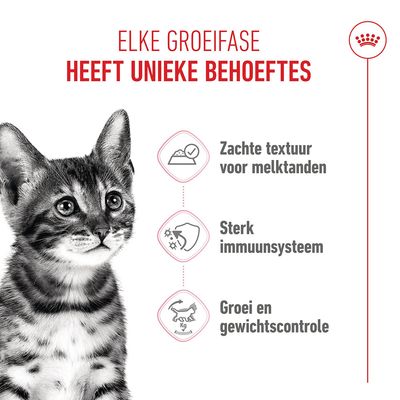 Royal Canin Sterilised Kitten in Saus