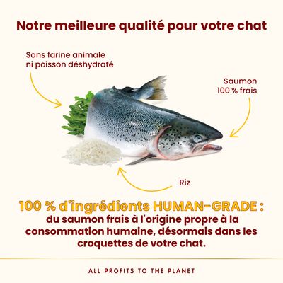 Almo Nature HFC Our Best Highly Appetizing saumon