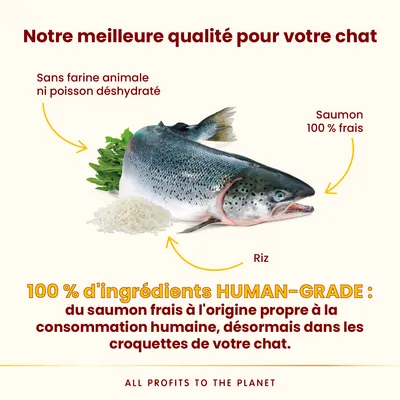 Almo Nature HFC Our Best Highly Appetizing saumon - 1,2 kg