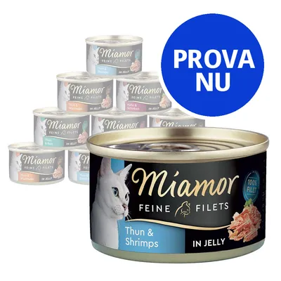 Miamor Feine Filets kattmat, synliga burkar med smaker som Thun & Shrimps, Thun & Schinken. Blå cirkel med texten PROVA NU. Miamor Feine Filets kattmat, synliga burkar med smaker som Thun & Shrimps, Thun & Schinken. Blå cirkel med texten PROVA NU.