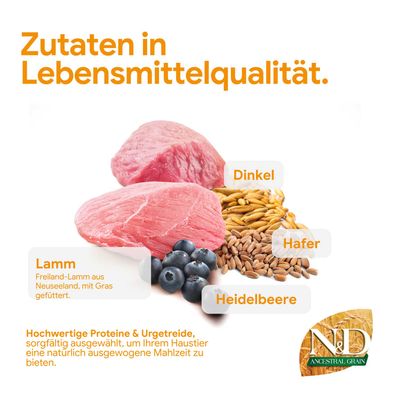 Zutaten in Lebensmittelqualität: Freiland-Lamm aus Neuseeland, Dinkel, Hafer, Heidelbeere. Hochwertige Proteine und Urgetreide für eine ausgewogene Mahlzeit. N&D Ancestral Grain.