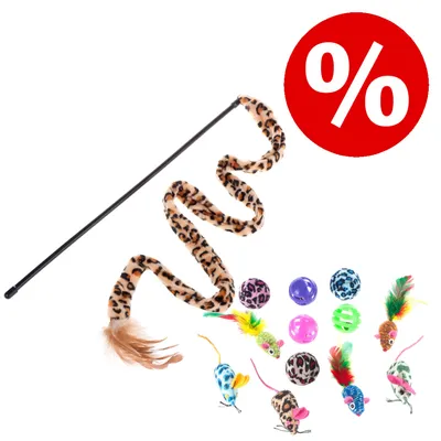 Set mit Spielangel im Leopardenmuster, Bällen und Mäusen in verschiedenen Farben, rotes Prozentzeichen für Rabattaktion sichtbar.