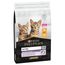 Purina Pro Plan Kitten Healthy Start Rijk aan kip Kattenvoer Dubbelpak: 2 x 10 kg