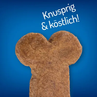 Hundkex i form av ett ben med texten 'Knusprig & köstlich!' på tyska synlig ovanför mot blå bakgrund.