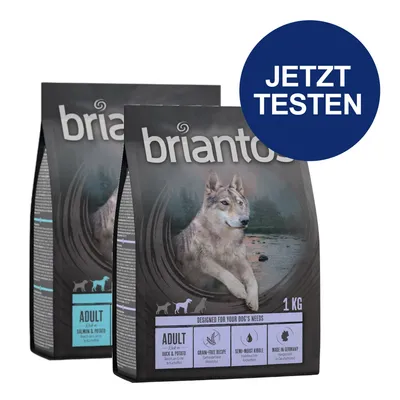 Briantos Adult Trockenfutter, Sorten Lachs & Kartoffel und Ente & Kartoffel. Getreidefreie Rezeptur, halbfeuchte Kroketten, hergestellt in Deutschland. Jetzt testen.