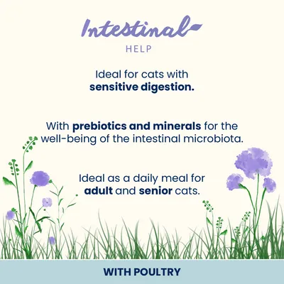 Almo Nature Functional Intestinal Help - Ekonomipack: 24 x 70 g fisk