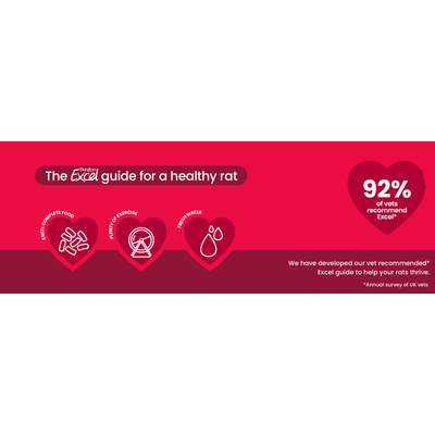 Burgess Excel guide for healthy rats: Excel Complete Food, plenty of exercise, fresh water. 92% of vets recommend Excel. Annual survey of British vets.