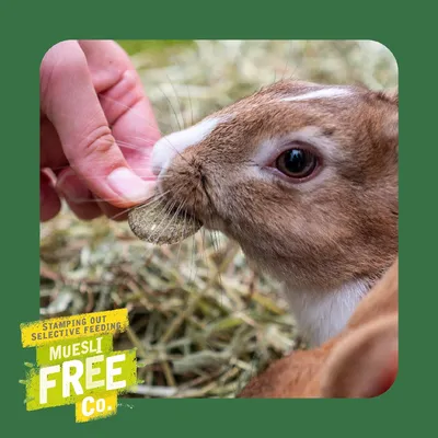 Hand feeds rabbit with food pellet, text in image: Stamping out selective feeding, Muesli Free Co. Hand feeds rabbit with food pellet, text in image: Stamping out selective feeding, Muesli Free Co.