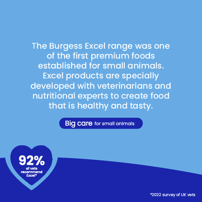 Burgess Excel: Premium food for small animals, developed with veterinarians and nutrition experts. 92% of veterinarians recommend Excel. Big care for small animals.