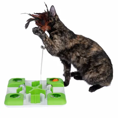 Giocattolo per gatti con design verde e bianco, piume su supporto e diverse aperture per gioco interattivo.
