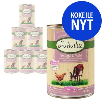 Lukullus Geflügel & Wild Junior 400 g koiran märkäruokapurkkeja, etiketissä kana ja peura, sininen ympyrä tekstillä KOKEILE NYT