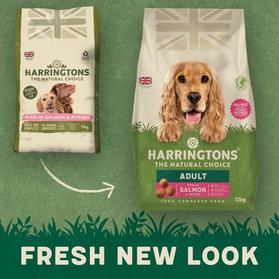 Harringtons Complete Adult Dog - Rich in Salmon & Potato - 12kg