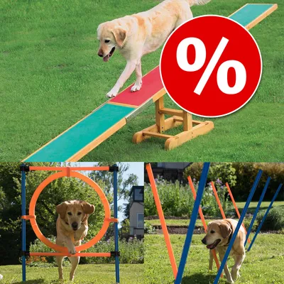 Hund nutzt Agility-Trainingsgeräte: Wippe, Sprung durch Reifen und Slalomstangen. Großes Prozentzeichen für Rabattaktion sichtbar.