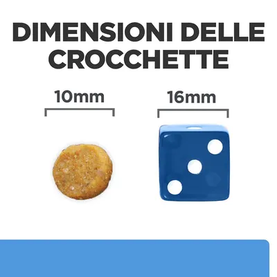 Dimensioni delle crocchette: confronto tra una crocchetta da 10 mm e un dado blu da 16 mm, testo visibile 'DIMENSIONI DELLE CROCCHETTE'