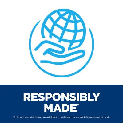 Hill’s Prescription Diet Derm Complete с рисом и яйцом