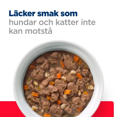 Text: Läcker smak som hundar och katter inte kan motstå. Skål med våtfoderbitar, synliga morotsbitar och kött i sås.