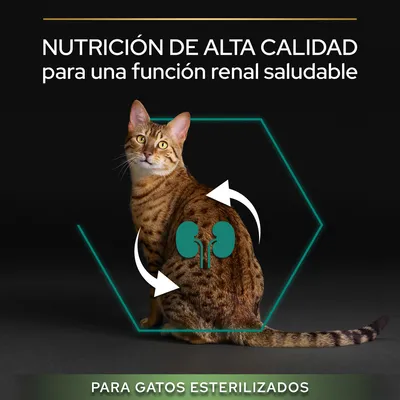 Nutrición de alta calidad para una función renal saludable. Para gatos esterilizados. Imagen de un gato con icono de riñones y flechas en el cuerpo.