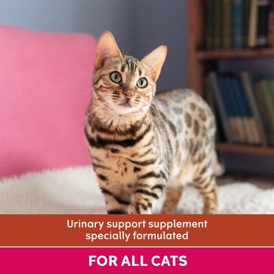 Urinary support supplement specially formulated for all cats.