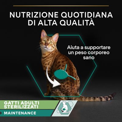 Nutrizione quotidiana di alta qualità. Aiuta a supportare un peso corporeo sano. Gatti adulti sterilizzati maintenance.