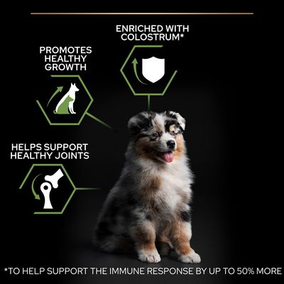 Text på engelska: Promotes healthy growth, Helps support healthy joints, Enriched with colostrum. Bild på valp. Fotnot: To help support the immune response by up to 50% more.